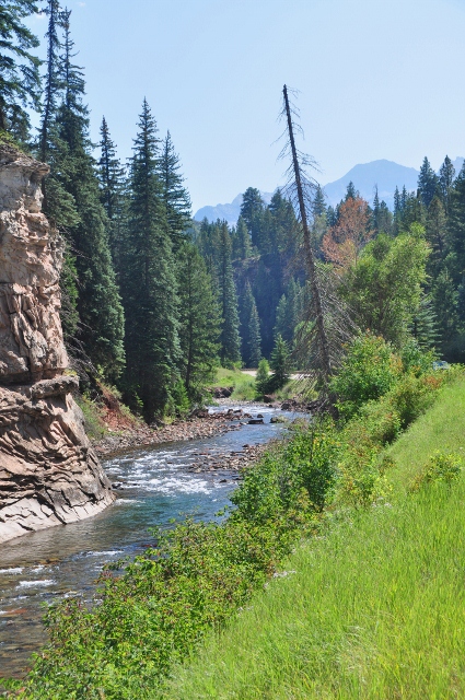 the Crystal River